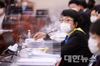 김진애 의원 ⓒ대한뉴스
