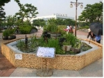평화의공원 난지연못 주변 ‘수생식물 전시장’ 조성