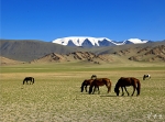 몽골의 대자연‘참바가라와 오올 산 ’