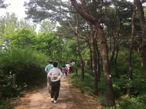 봄이다! 서울시, 남산공원·노을공원 주요명소 5개소 전면 개방