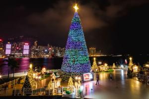 홍콩밤 밝히는 20m 대형 크리스마스 트리