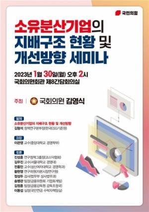 김영식의원, 소유분산기업 지배구조 세미나 개최