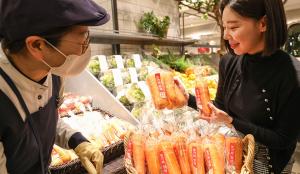 현대백화점그룹, 제주 당근 재배 농가 돕기 나선다… '총 200톤 매입'
