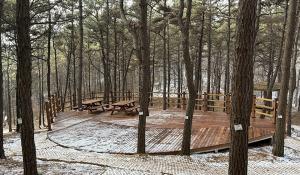 인천 영종 백운산에 새로운 산림복지공간 ‘숲속 쉼터 치유림’ 조성